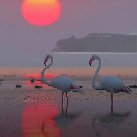 Suite Sardinia Holiday Cagliari Eksteriør billede